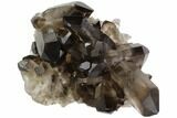 Dark Smoky Quartz Crystal Cluster - Brazil #84853-1